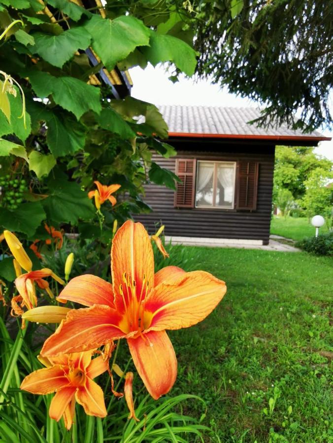 Merikotka - A Cozy Wooden Cottage, Slovenia Braslovce Exterior photo