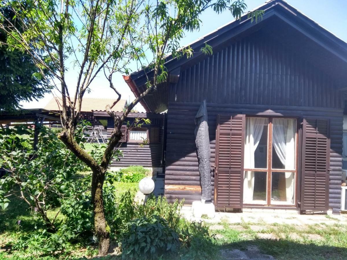 Merikotka - A Cozy Wooden Cottage, Slovenia Braslovce Exterior photo